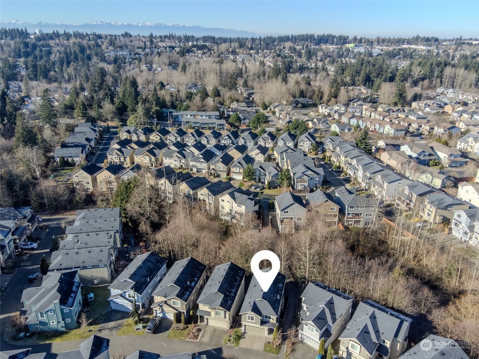 14520 17th Avenue Property Photo 39