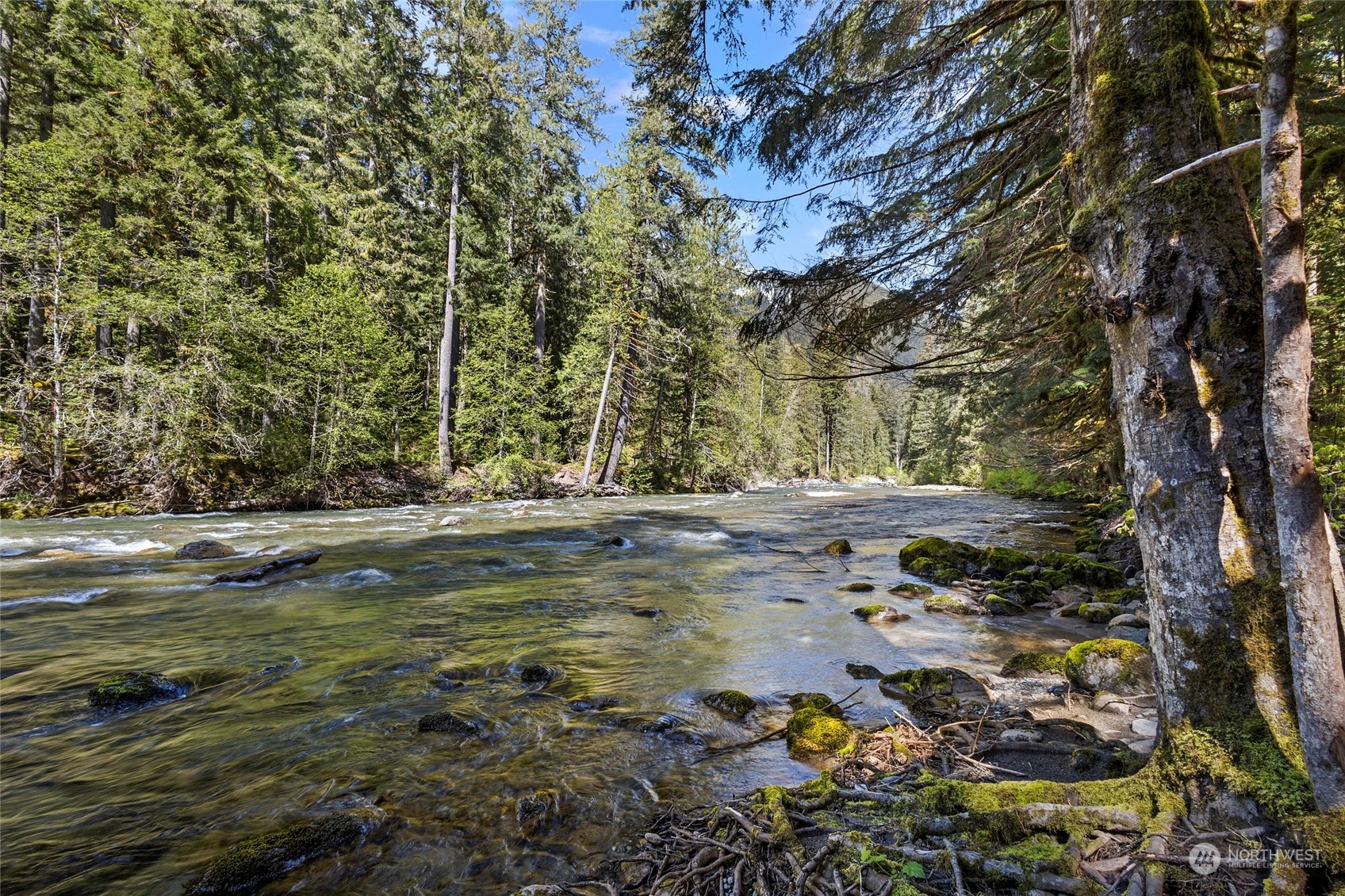 10500 Mt Baker Hwy 401 Property Photo 32