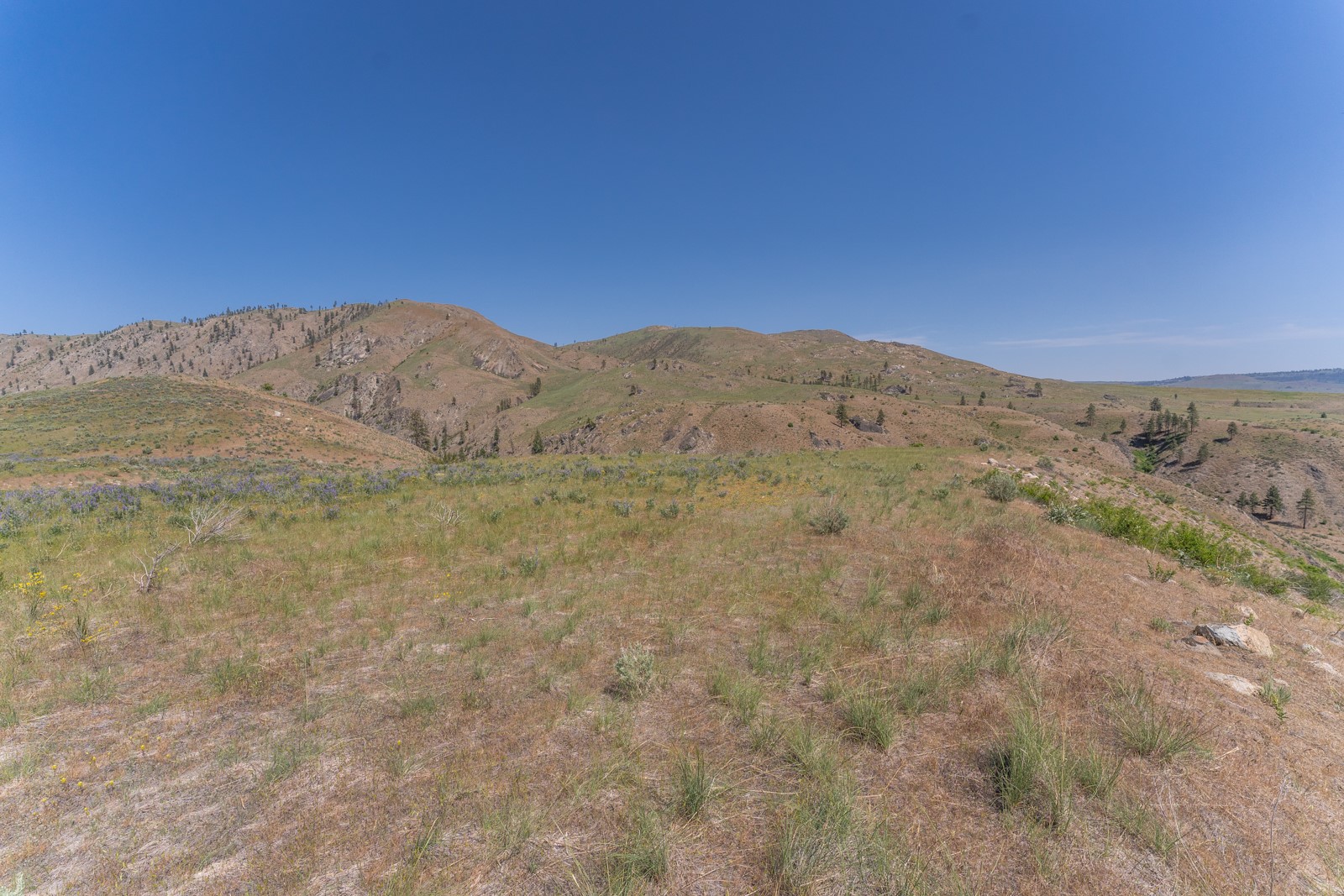2830 Antoine Creek (lot B) Road Property Photo 2