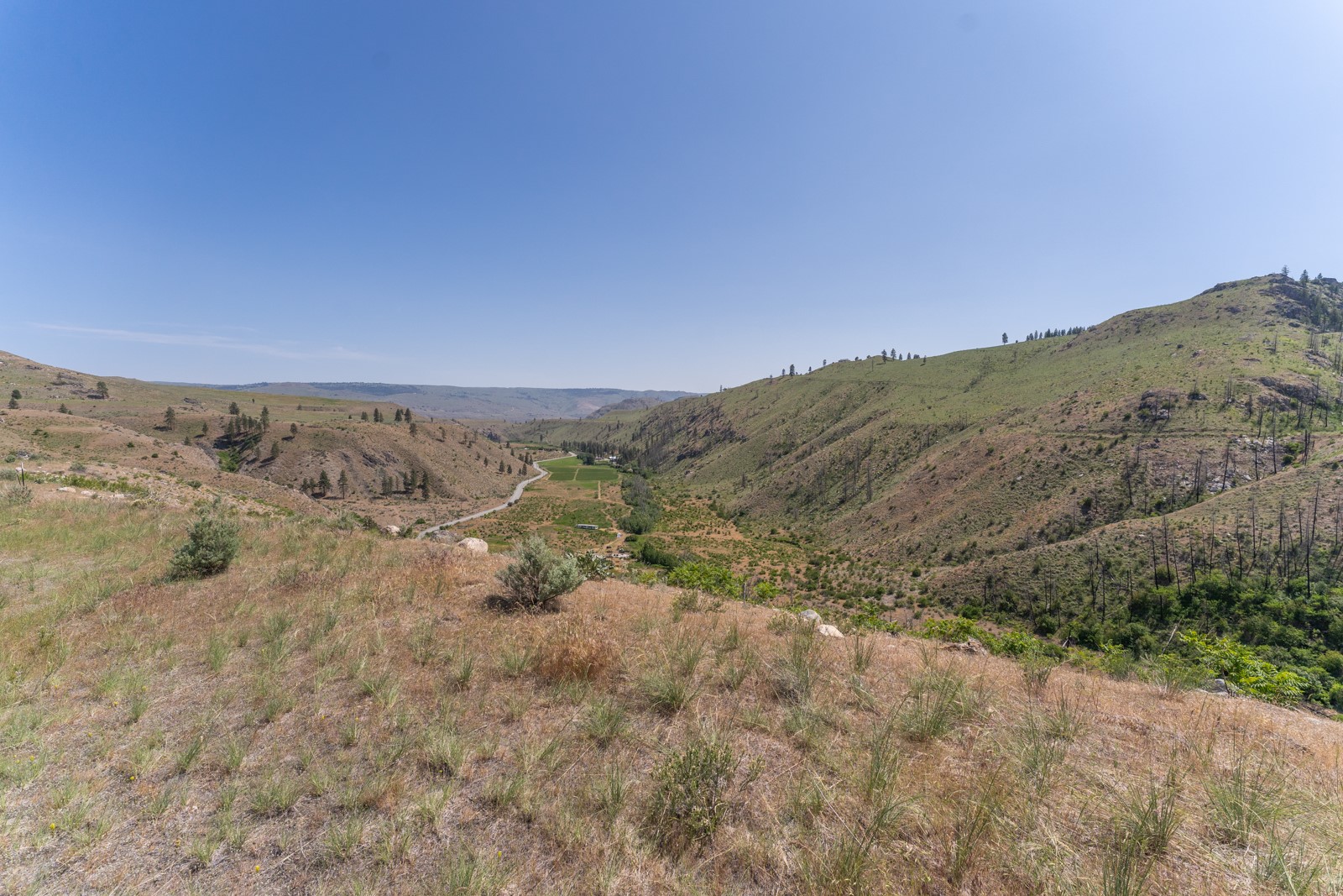 2830 Antoine Creek (lot B) Road Property Photo 4