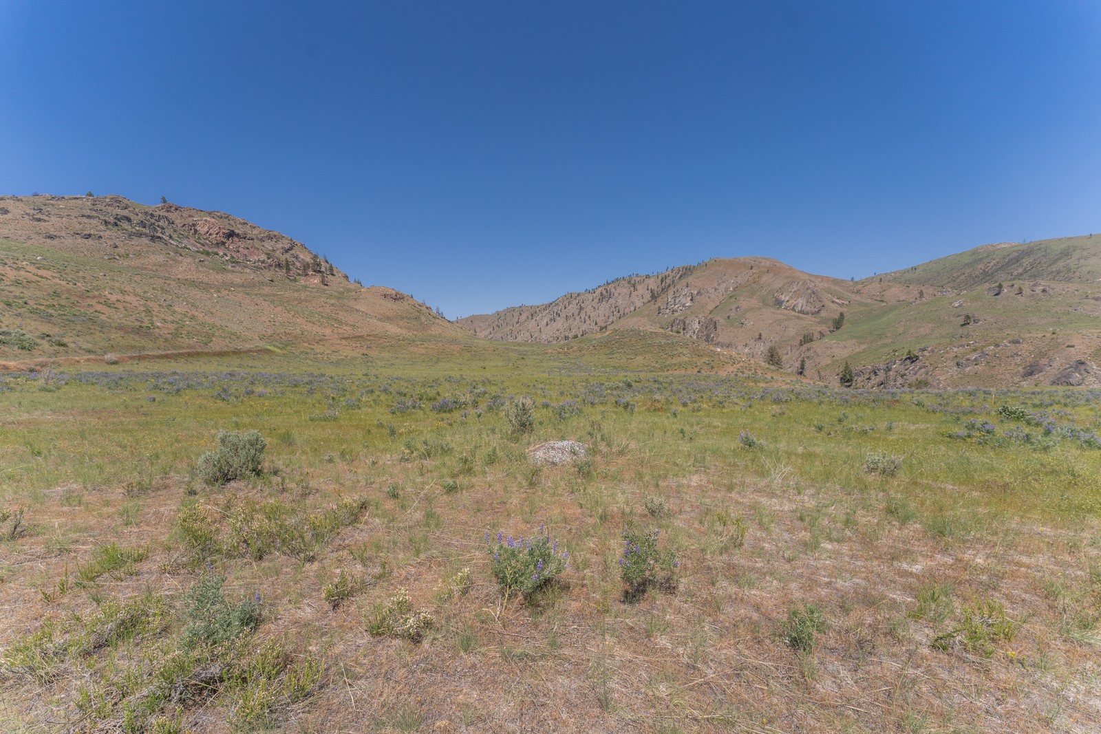 2830 Antoine Creek (lot B) Road Property Photo 5