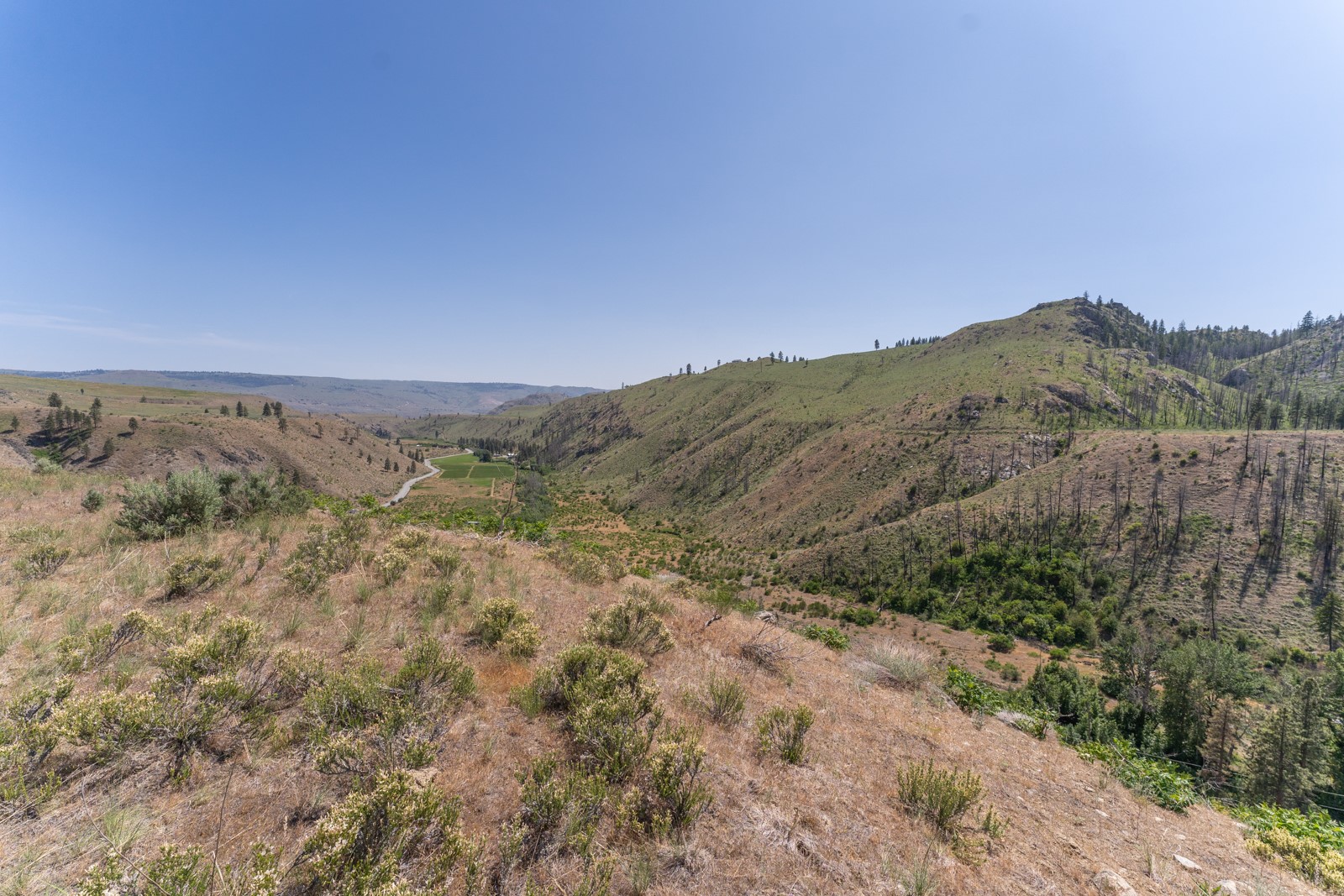 2830 Antoine Creek (lot B) Road Property Photo 6