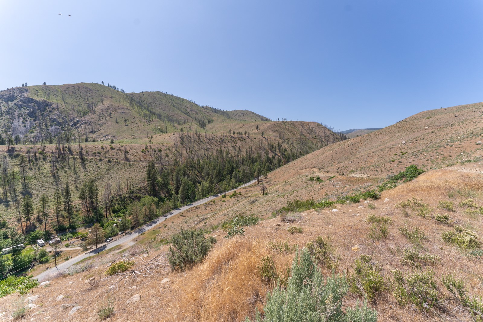 2830 Antoine Creek (lot B) Road Property Photo 7
