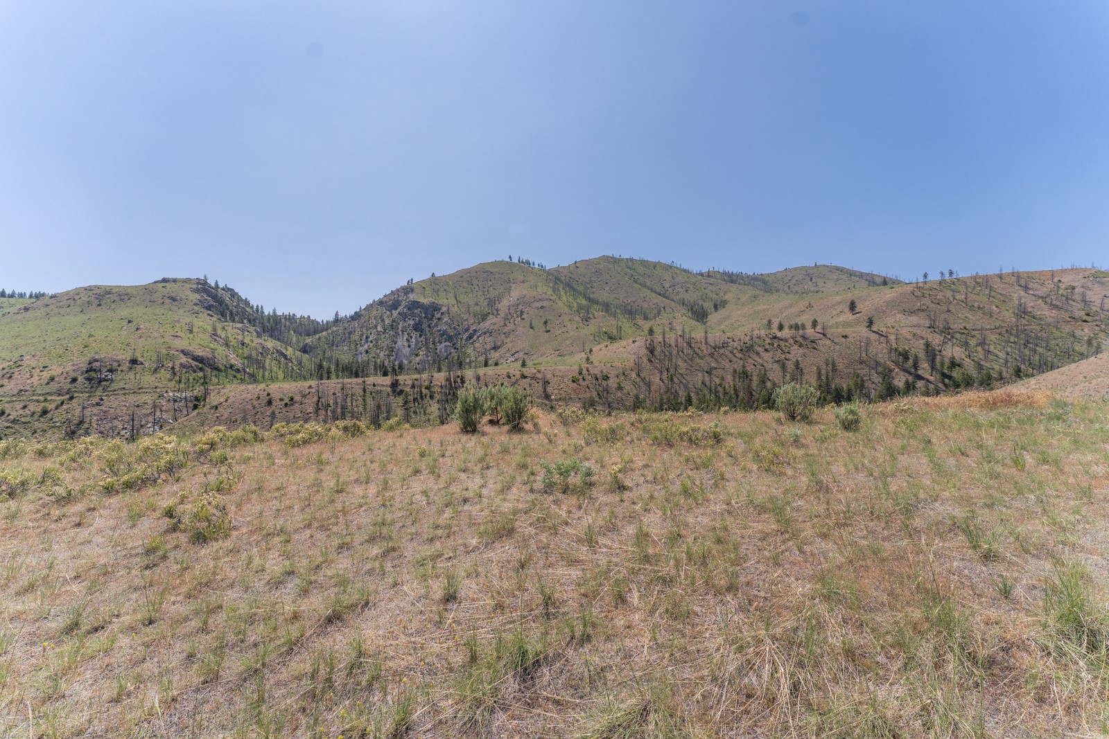 2830 Antoine Creek (lot B) Road Property Photo 8