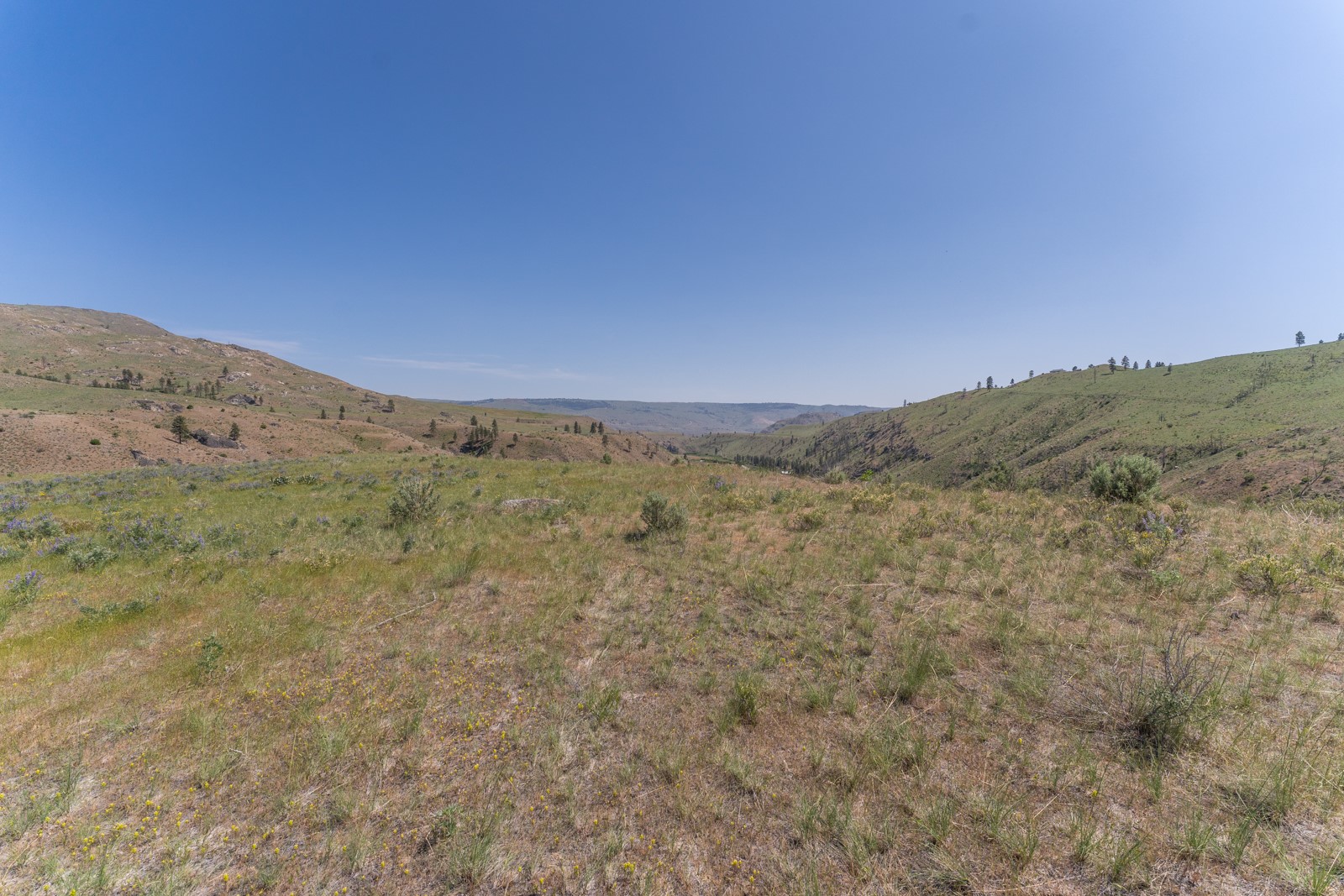 2830 Antoine Creek (lot B) Road Property Photo 9