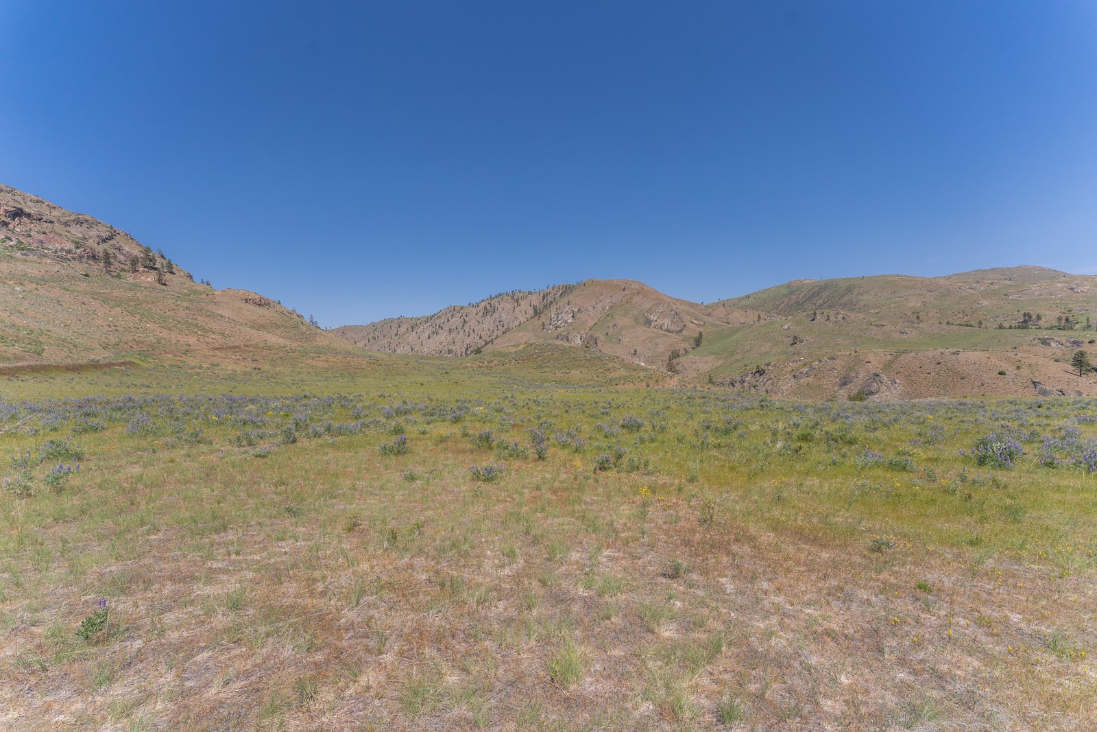 2830 Antoine Creek (lot B) Road Property Photo 10