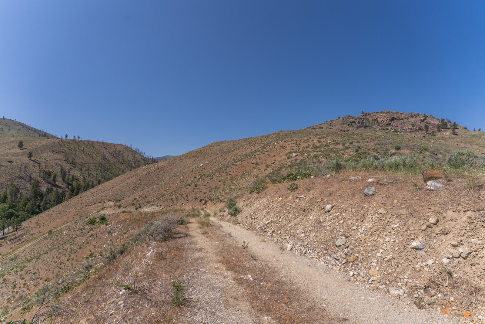 2830 Antoine Creek (lot C) Road Property Photo 11