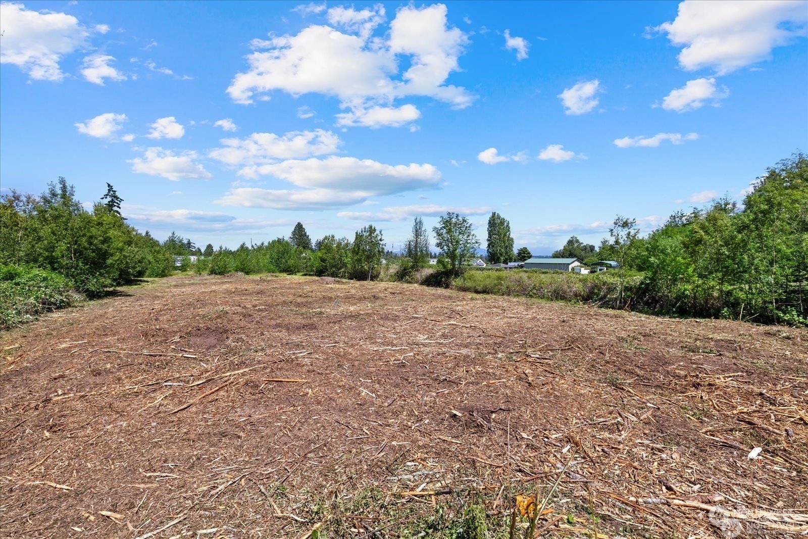 9642 Padilla Heights Road Property Photo 15
