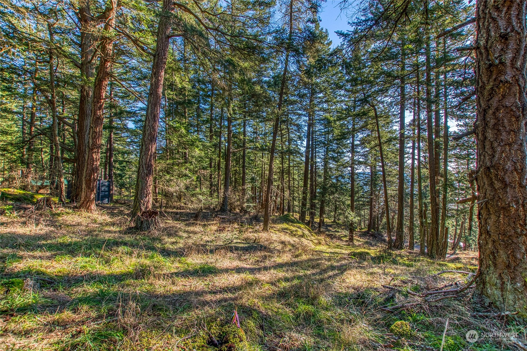0 Veneda Trail Property Photo 1