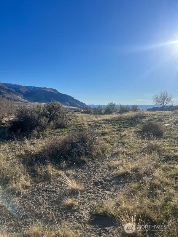 0 Nna Sw Lind Street Property Photo 3