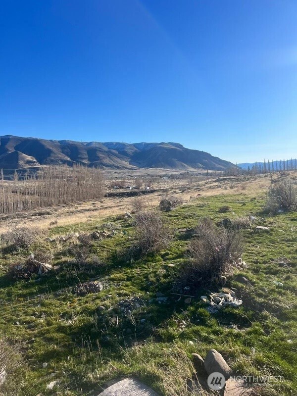 0 Nna Sw Lind Street Property Photo 4