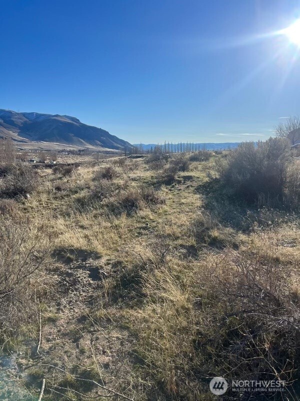 0 Nna Sw Lind Street Property Photo 5