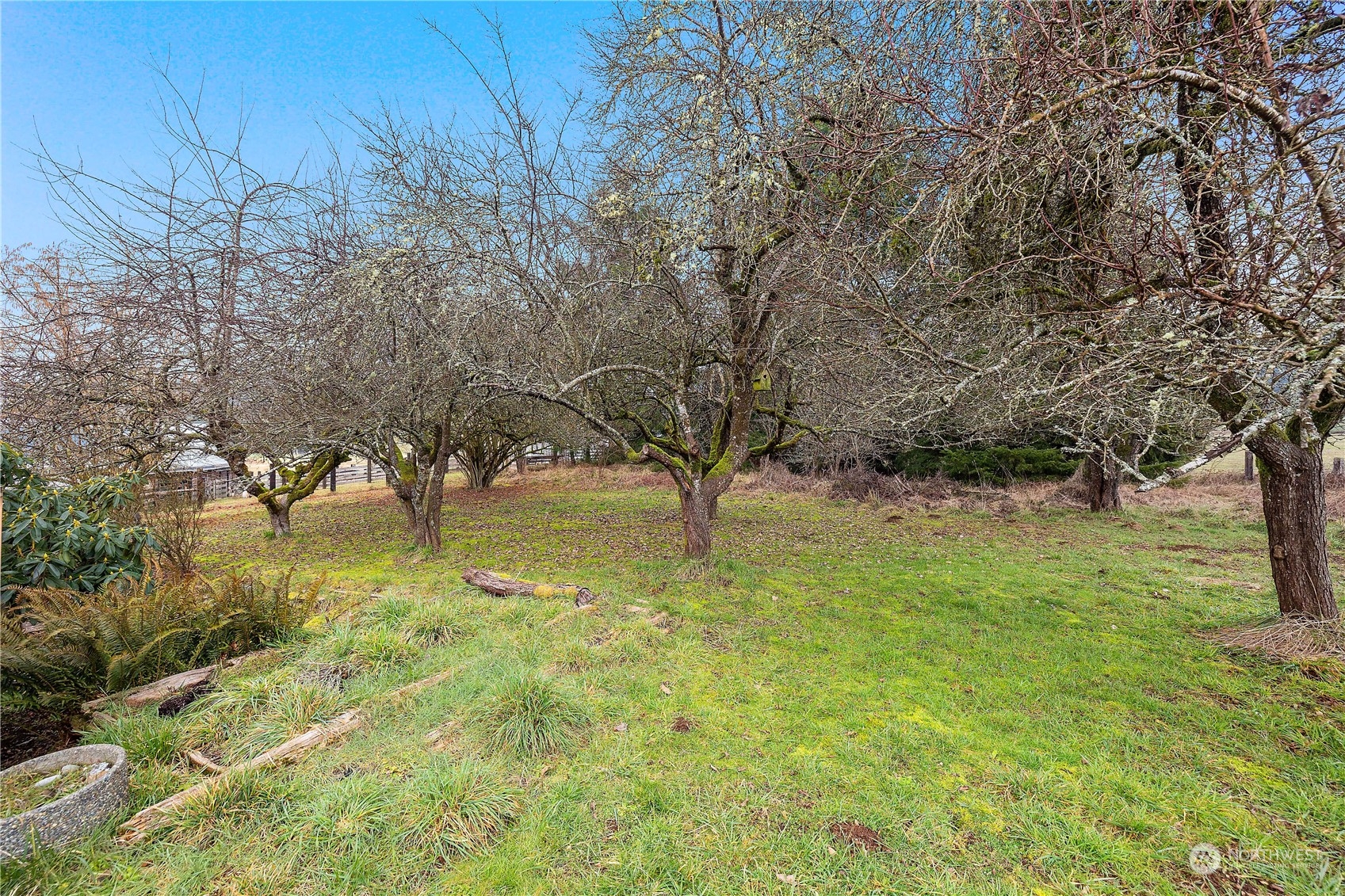 9417 Delphi Road Property Photo 26
