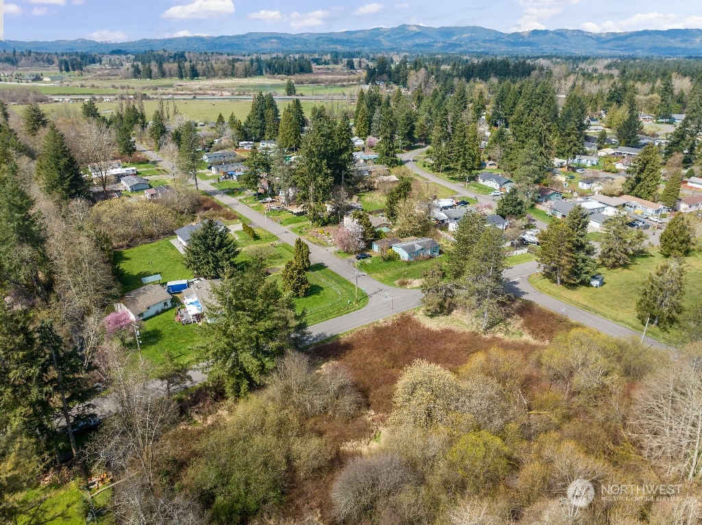 11610 Scott Creek Drive Property Photo 3