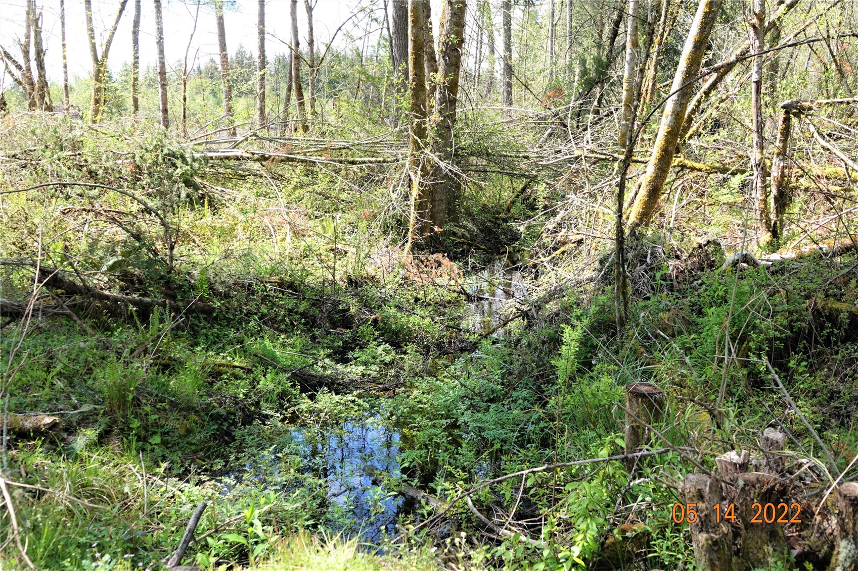 14040 Old Farm Lane Property Photo 24