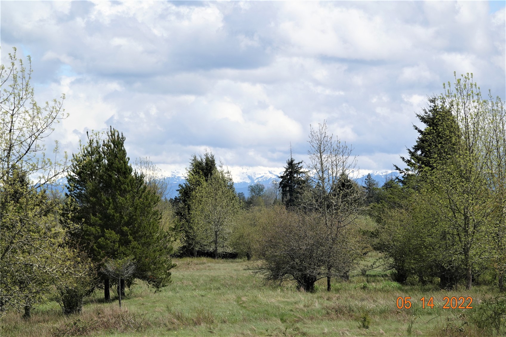 14040 Old Farm Lane Property Photo 29