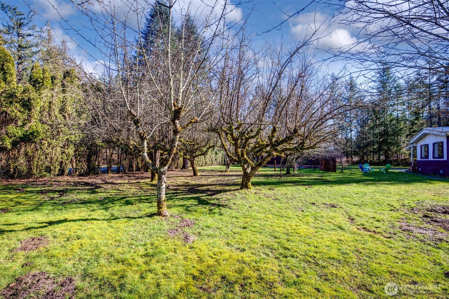 10409 394th Place Property Photo 32