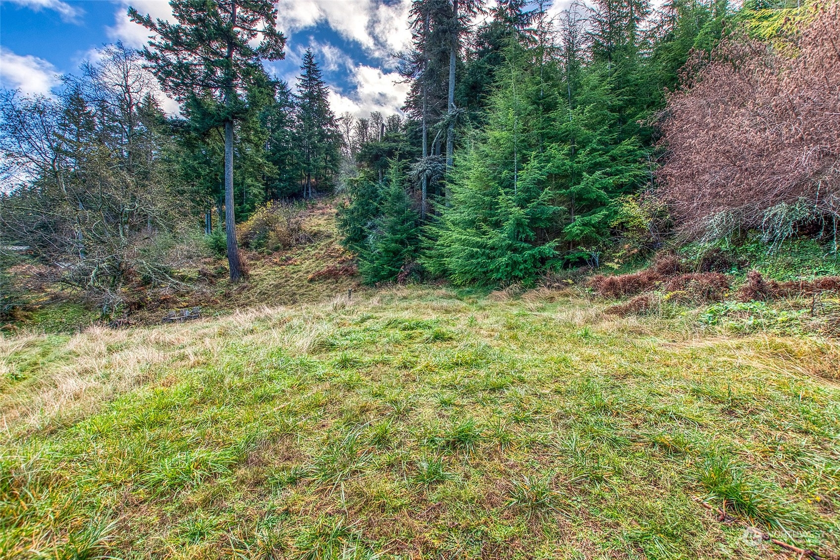 359 Georgia Strait Lane Property Photo 8