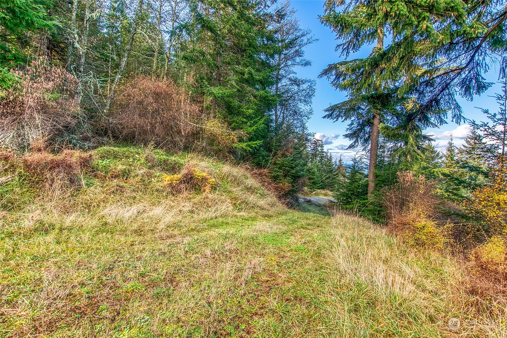 359 Georgia Strait Lane Property Photo 12