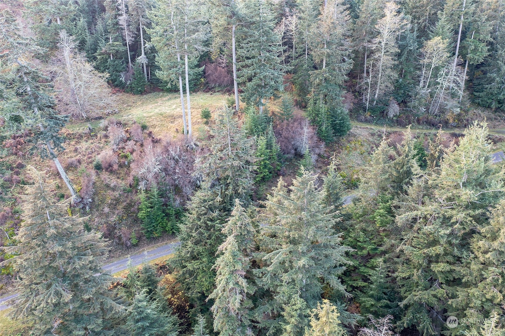 359 Georgia Strait Lane Property Photo 20
