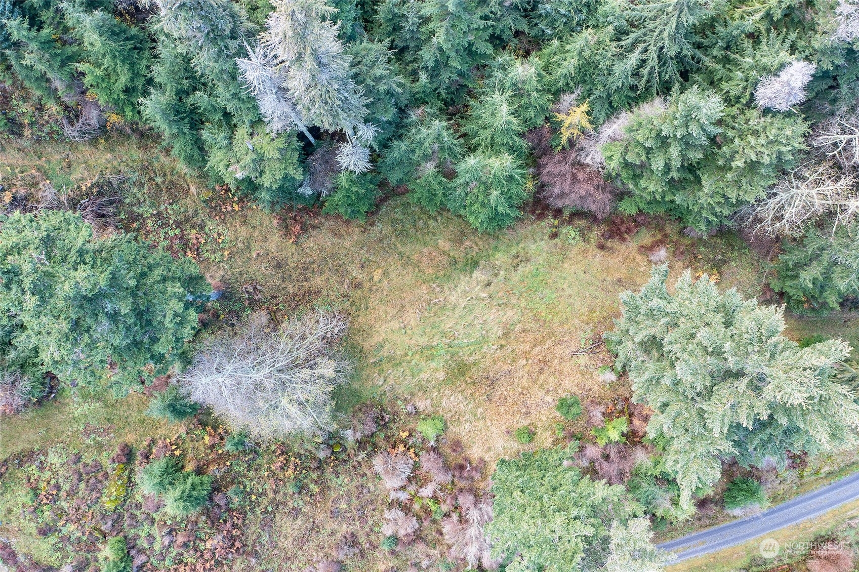 359 Georgia Strait Lane Property Photo 26