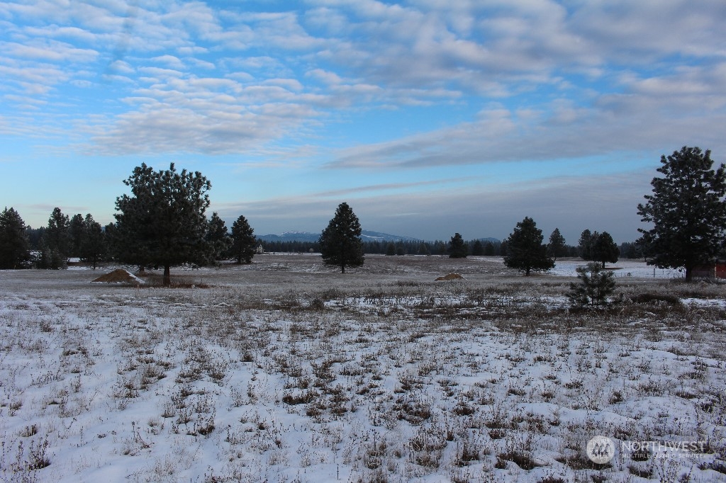 Deer Park Real Estate Listings Main Image