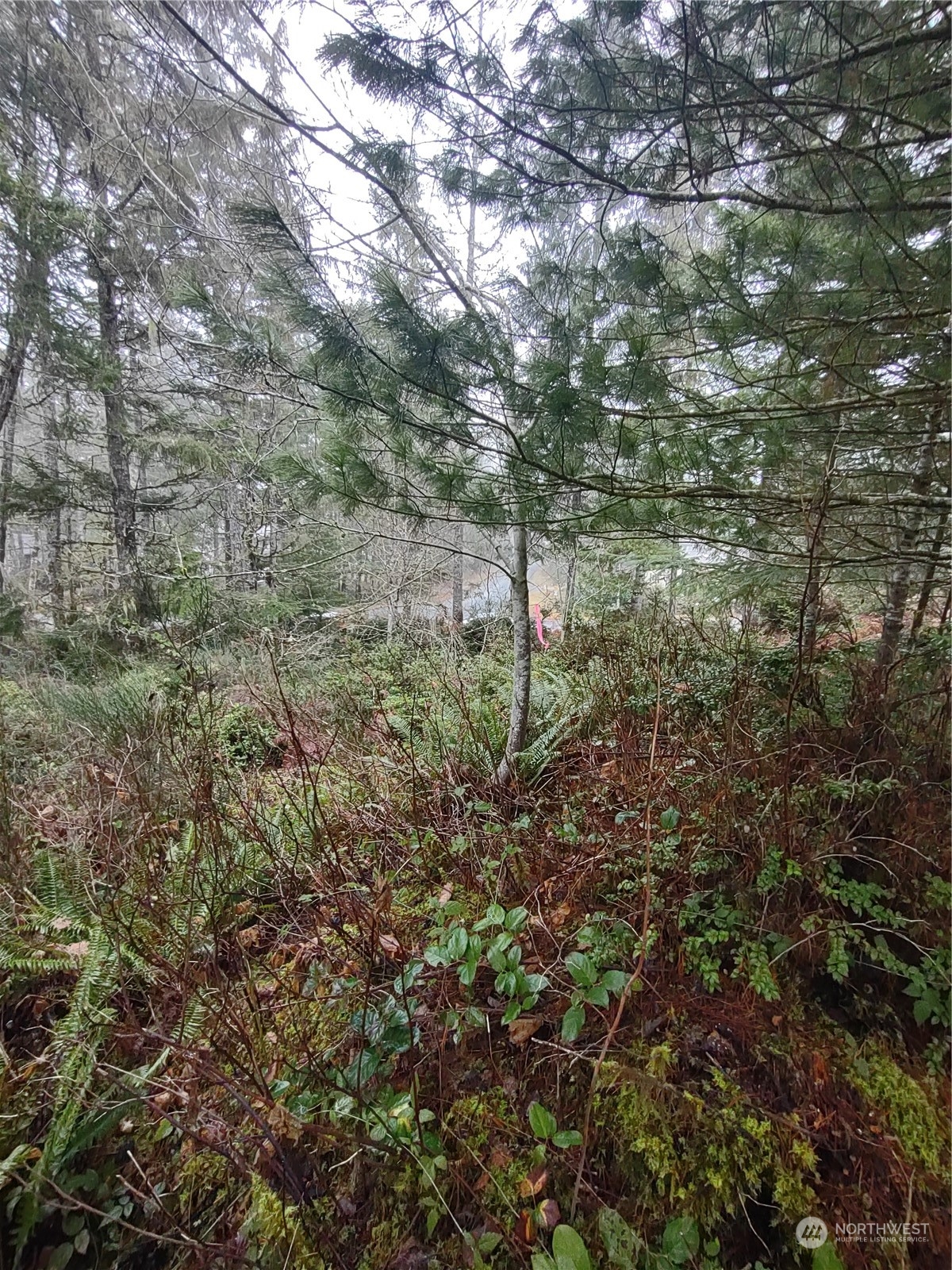 70 E Arellem Property Photo 3