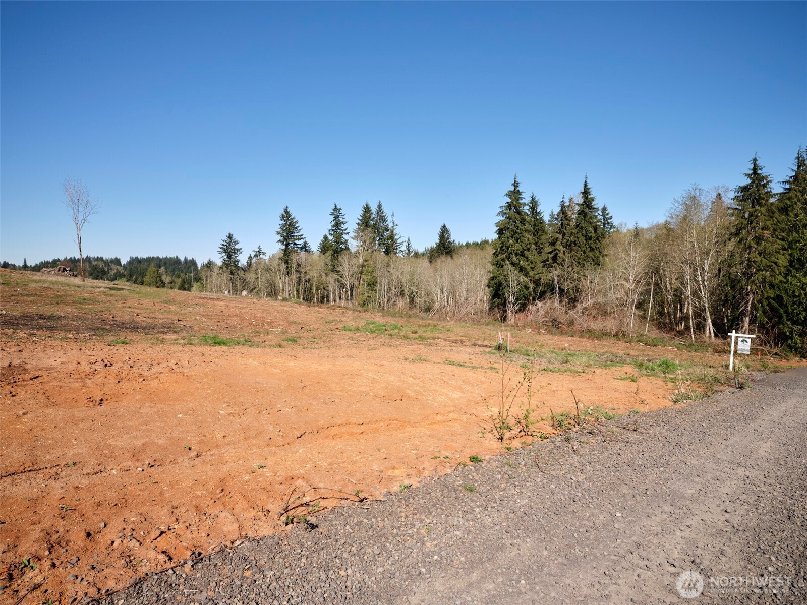 312 Dolan Road Property Photo 11