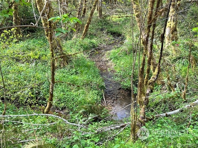 0 Lincoln Creek Road Property Photo 2