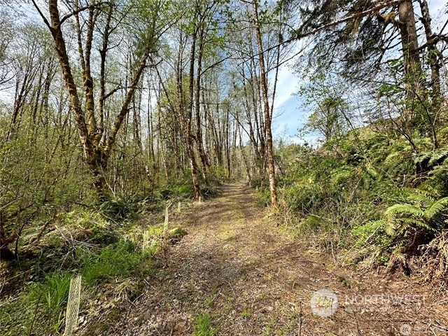 0 Lincoln Creek Road Property Photo 3