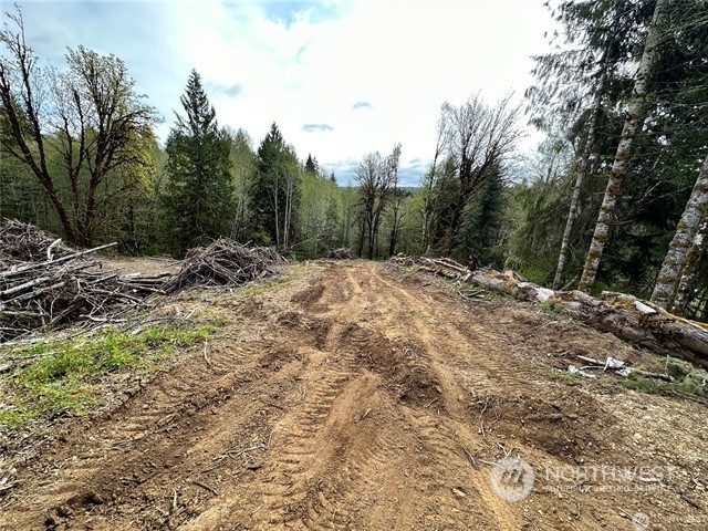 0 Lincoln Creek Road Property Photo 4
