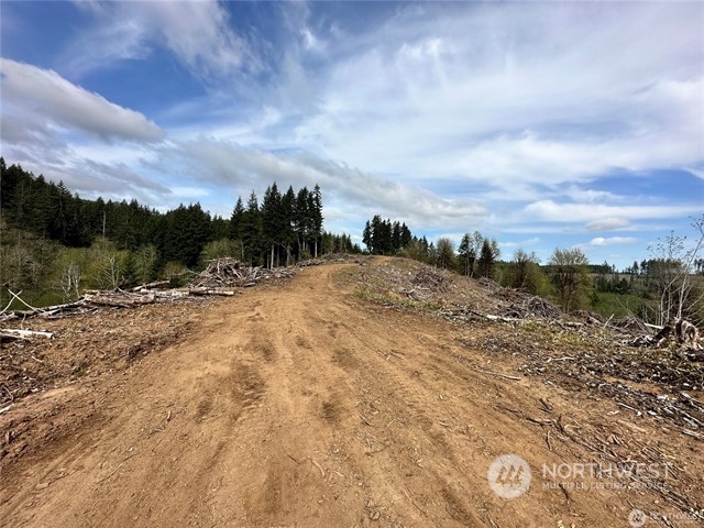 0 Lincoln Creek Road Property Photo 5