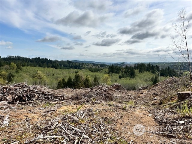 0 Lincoln Creek Road Property Photo 6