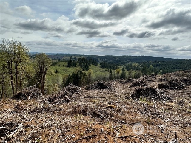 0 Lincoln Creek Road Property Photo 8