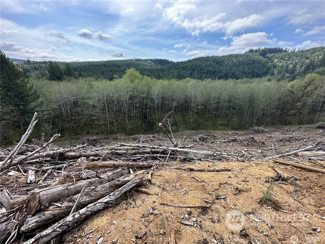 0 Lincoln Creek Road Property Photo 10