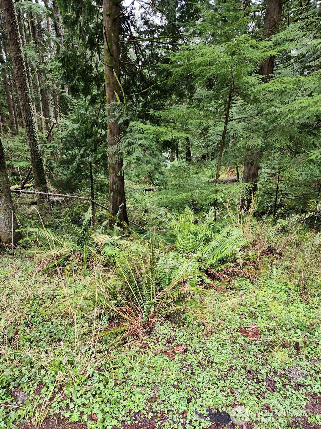 32 Bramble Way Lot 9 Property Photo 6