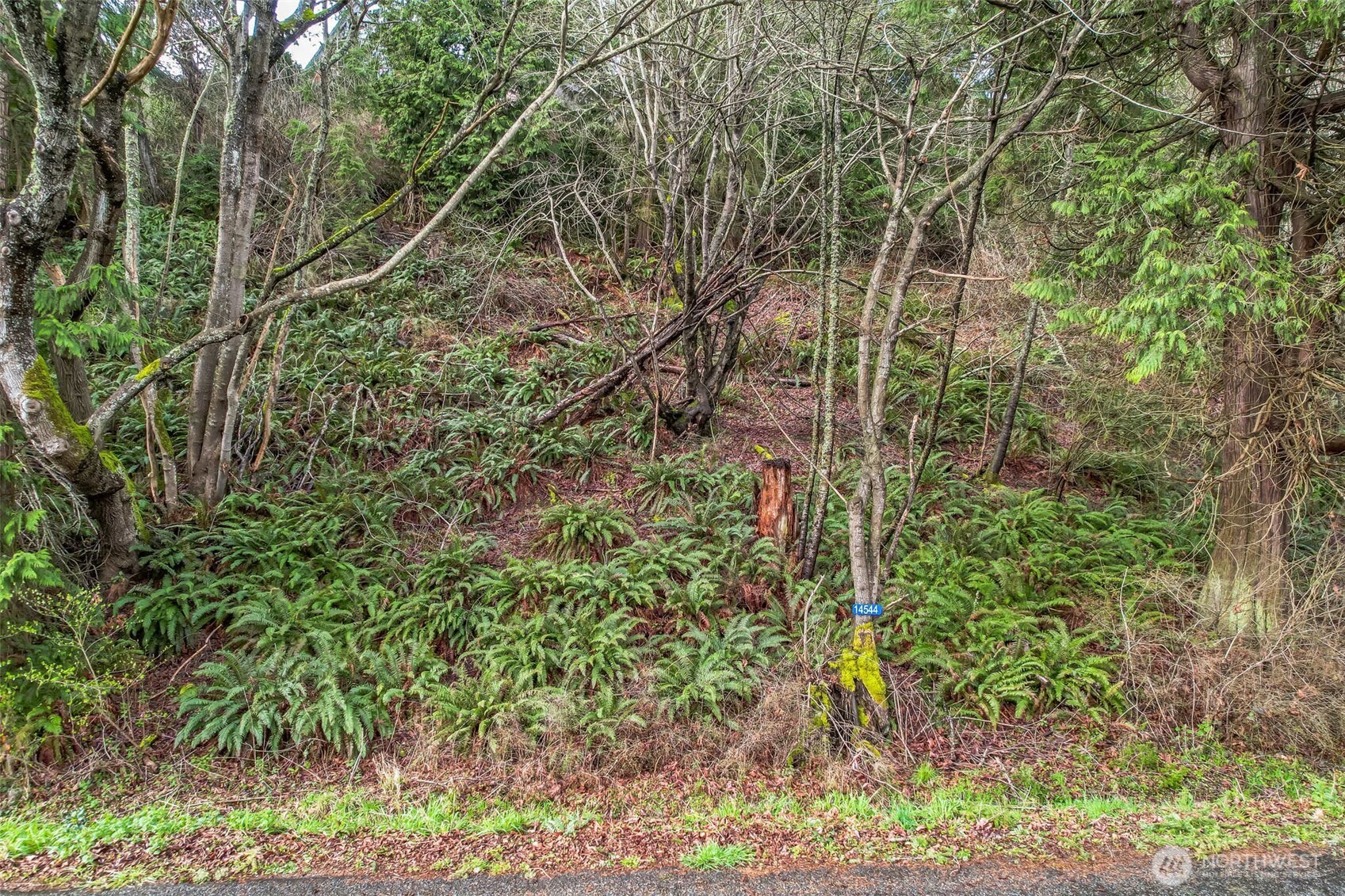 14544 Jura Way Property Photo 1