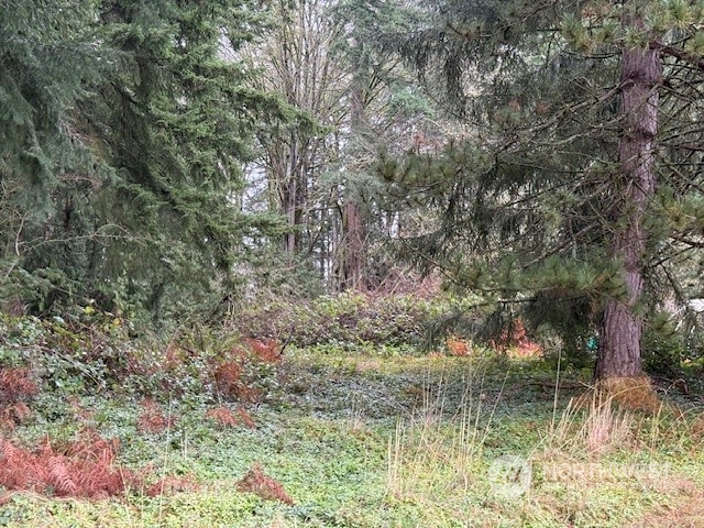 0 Bonanza Street Property Photo 6