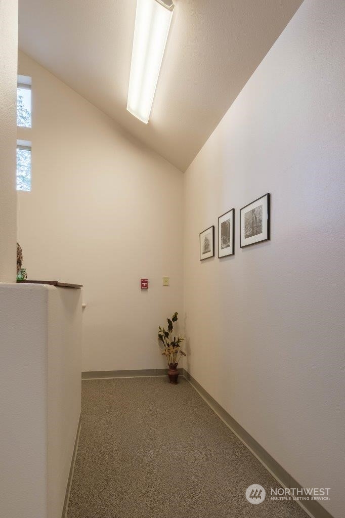 3912 Martin Way Property Photo 12