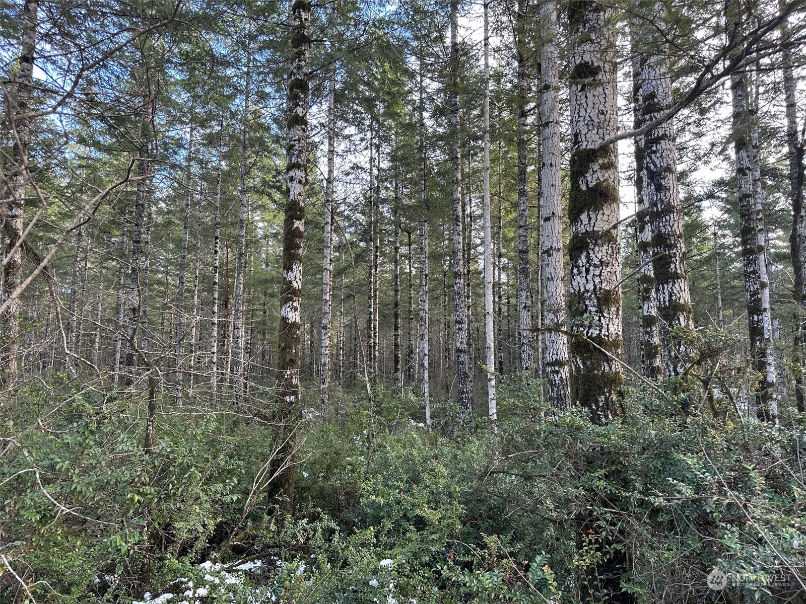 0 Lot A-d E Eagle Point Drive Property Photo 4