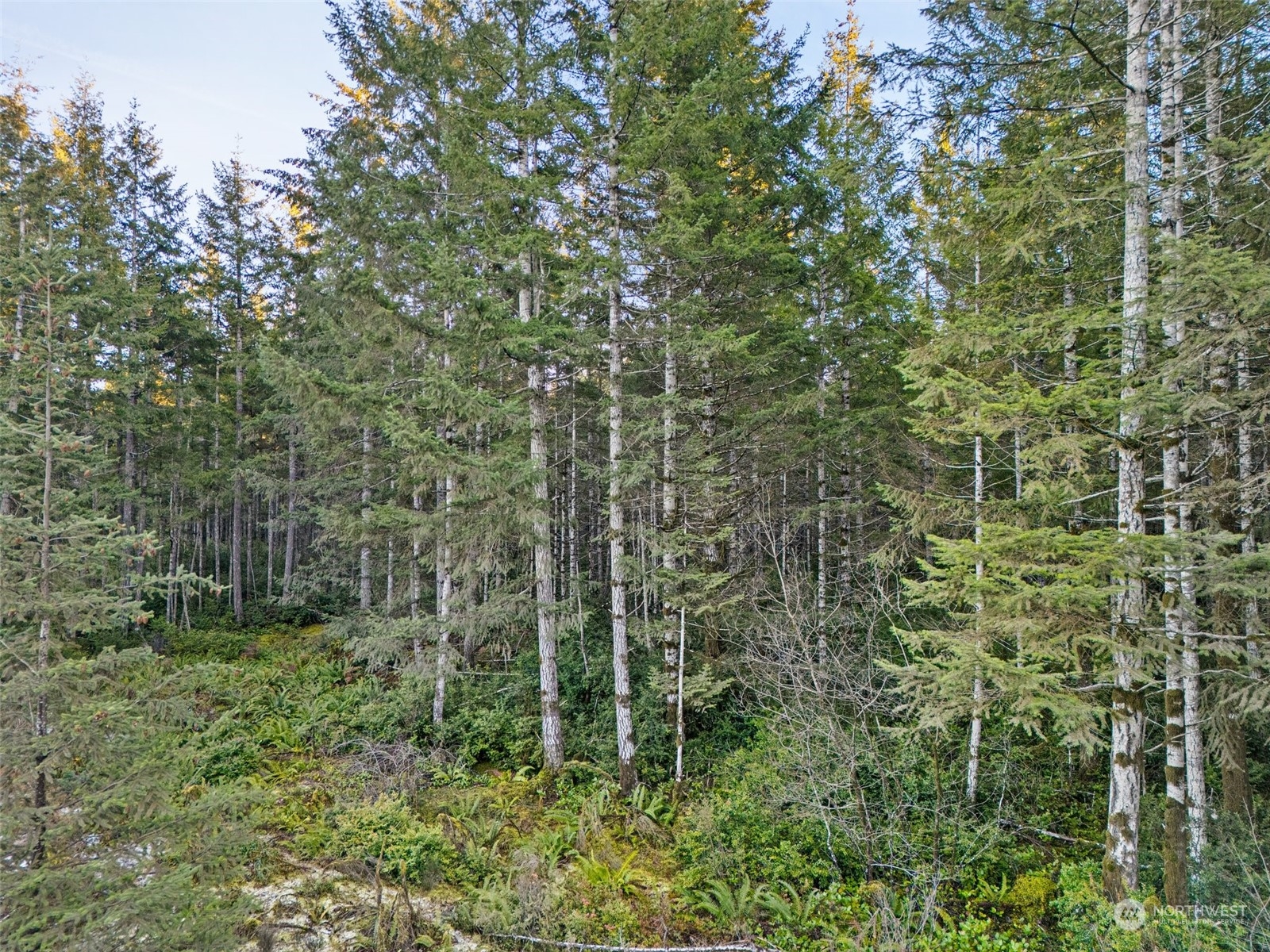 0 Lot A-d E Eagle Point Drive Property Photo 6