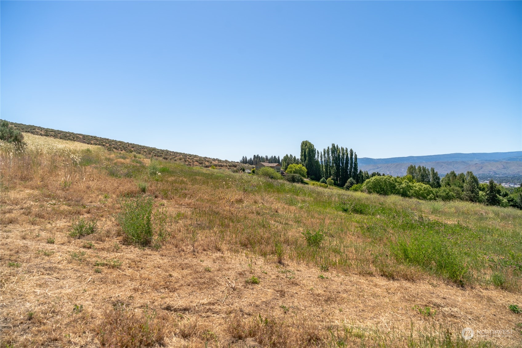 3621 Mcmullan Road Property Photo 11