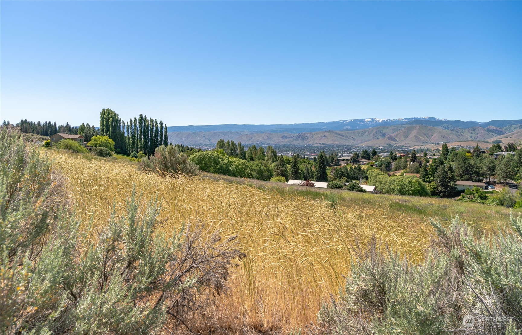 3621 Mcmullan Road Property Photo 12