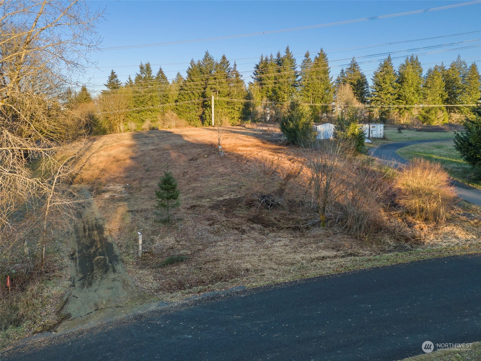 12200 Shadowbrook Drive Property Photo 8