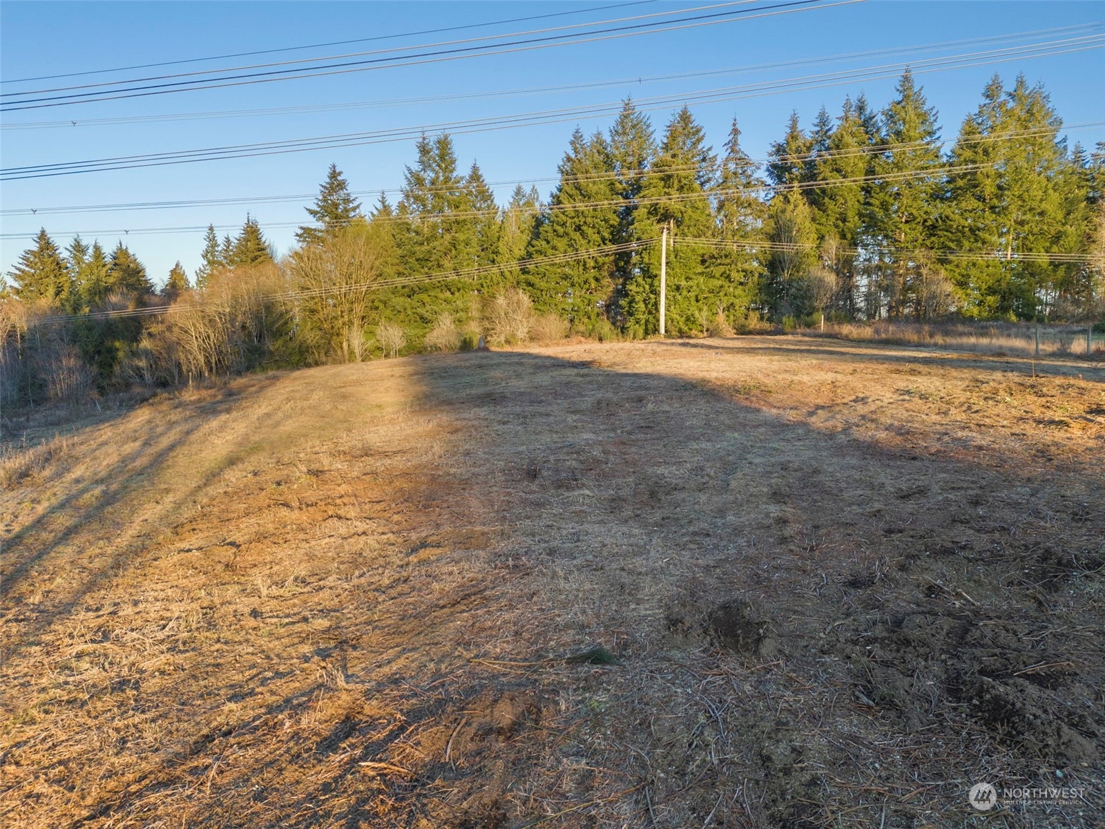 12200 Shadowbrook Drive Property Photo 11