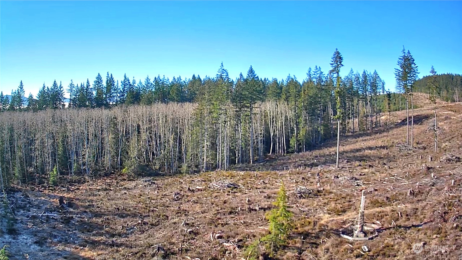 0 B-1000 Road Property Photo 3