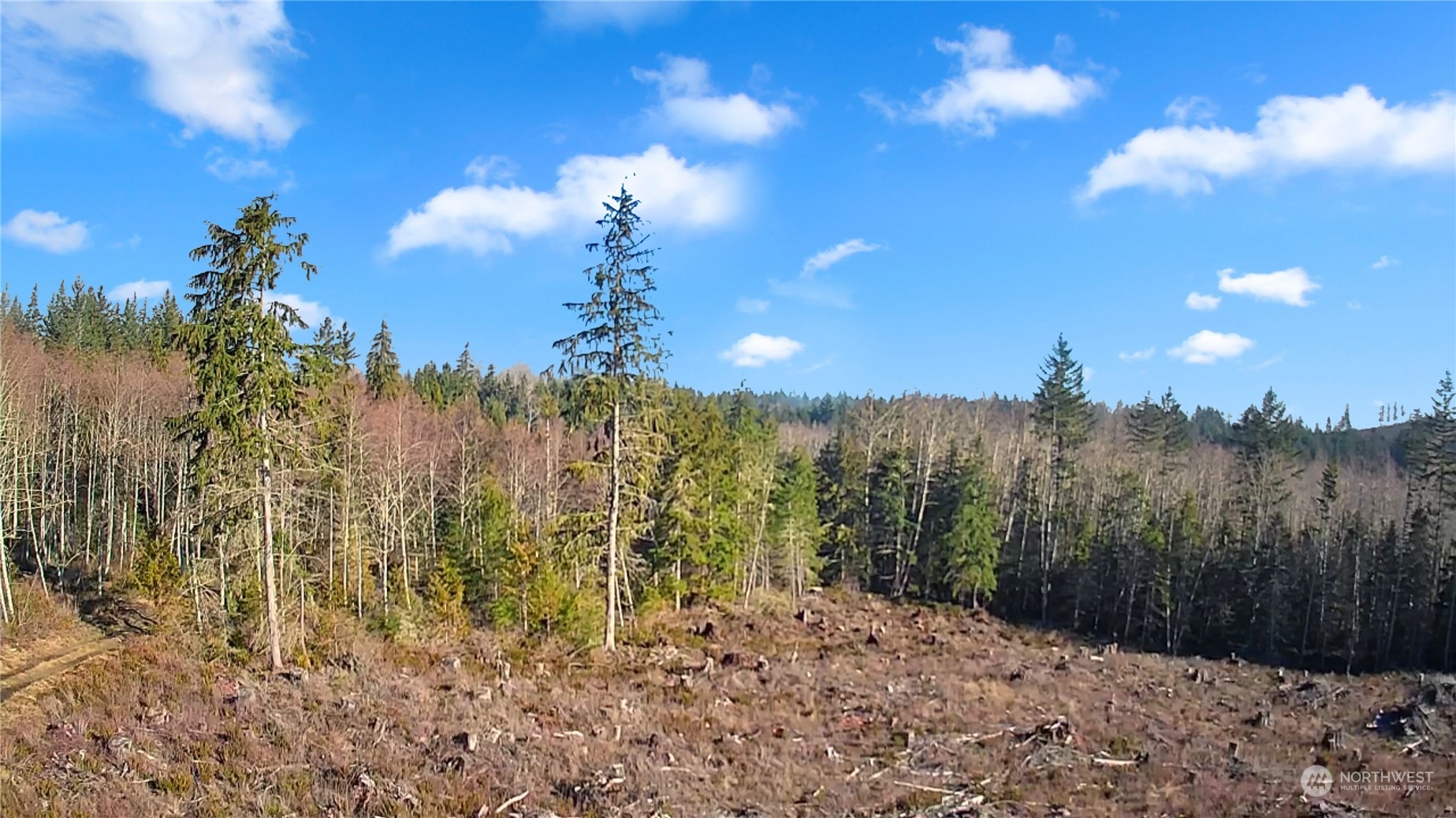 0 B-1000 Road Property Photo 4