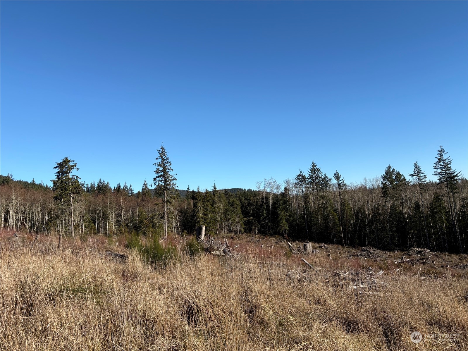 0 B-1000 Road Property Photo 6