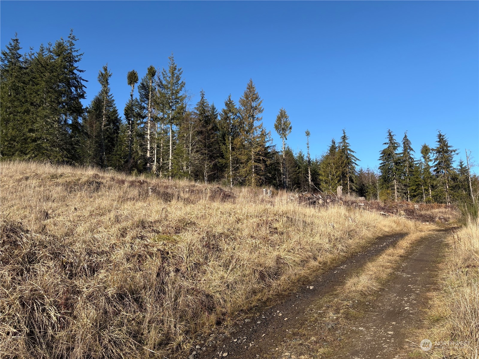 0 B-1000 Road Property Photo 7