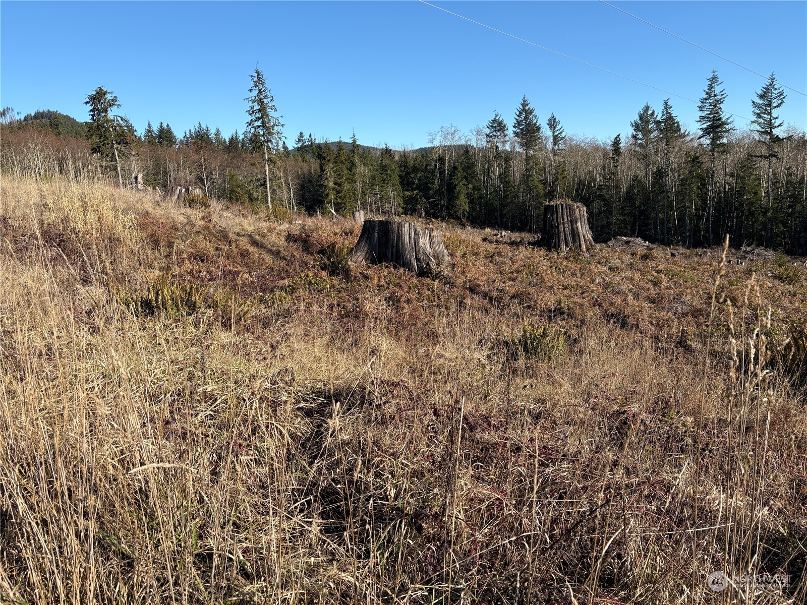 0 B-1000 Road Property Photo 9
